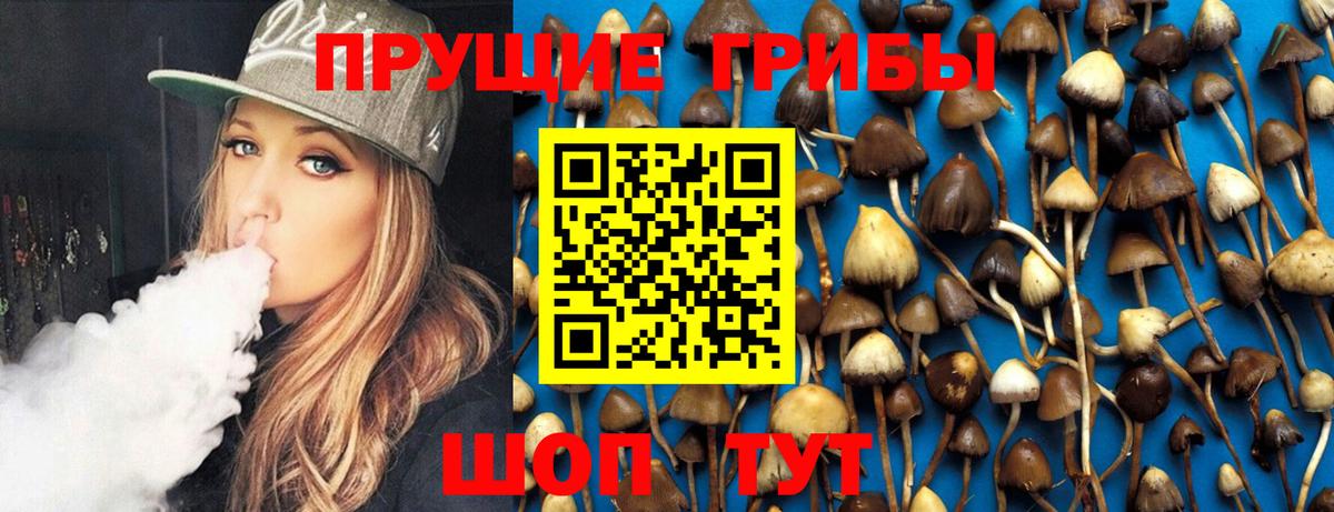 Псилоцибиновые грибы ЛСД  Вход с VPN  Томск  Псилоцибиновые грибы прущие грибы 