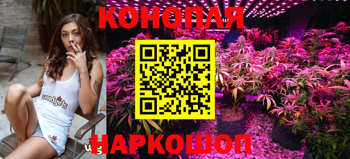 Каннабис план  Вход с VPN  Бошки Шишки THC 21%  Канабис Amnesia  Томск 